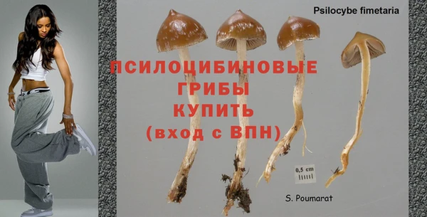 спайс Гусь-Хрустальный