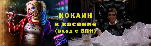 спайс Гусь-Хрустальный