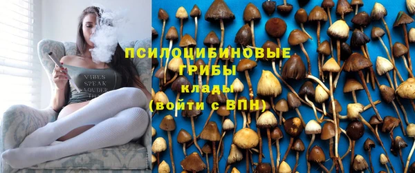 марки lsd Горняк