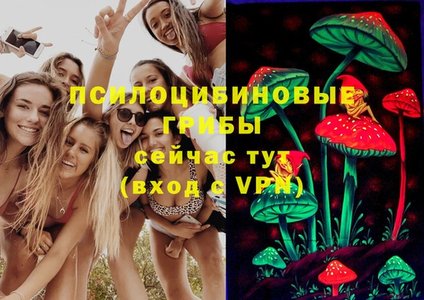 прущие крисы Горно-Алтайск