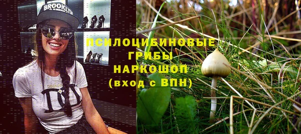 марки lsd Горняк