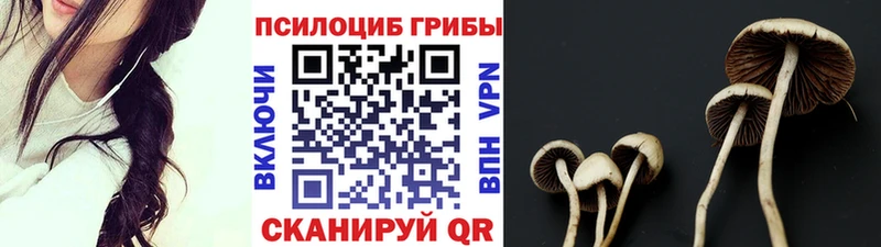 Галлюциногенные грибы MAGIC MUSHROOMS  Купить  Суровикино 